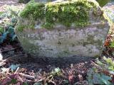 image of grave number 559208